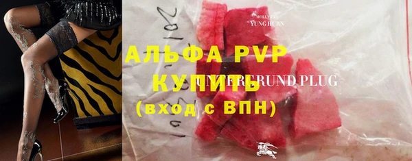 ПСИЛОЦИБИНОВЫЕ ГРИБЫ Няндома